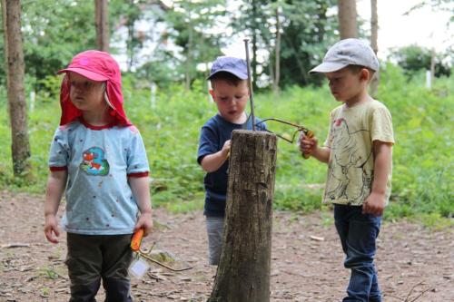 img-0223