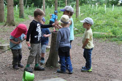 img-0227