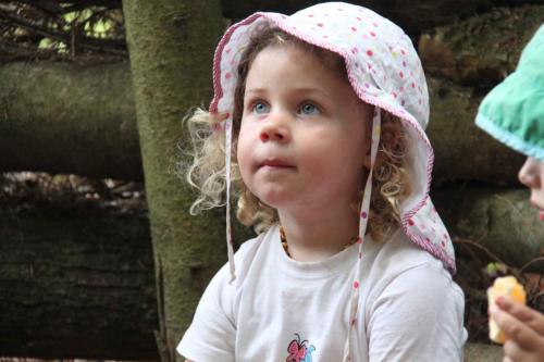 img-0304