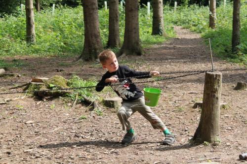 img-0381