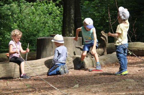 img-0443