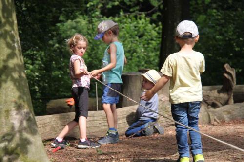 img-0455