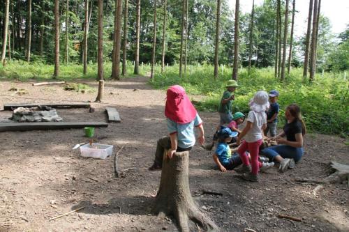 img-0501