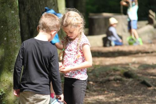 img-0538