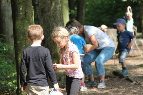 img-0539