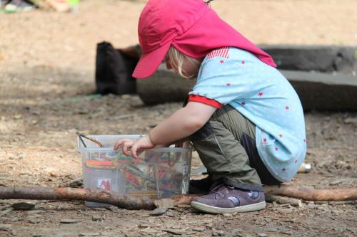 img-0558