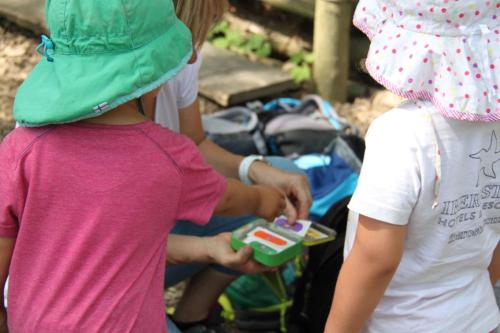 img-0584